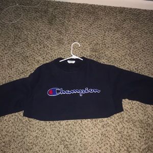 champion cropped hoodie